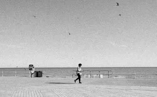 Item #69993621646733954887129407135556683687102018335866901743890553537741820264449 Media