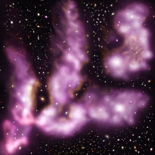 Item #35998109050540671441453311392150779488123036789337583421422681120019924910130 Media