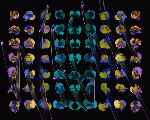 Item #67428853302242778530511456259079558737499986186560837533912873250215579090945 Media