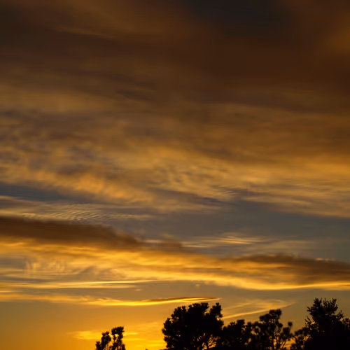 The Golden Hours