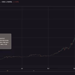 Cobie Buy Wall