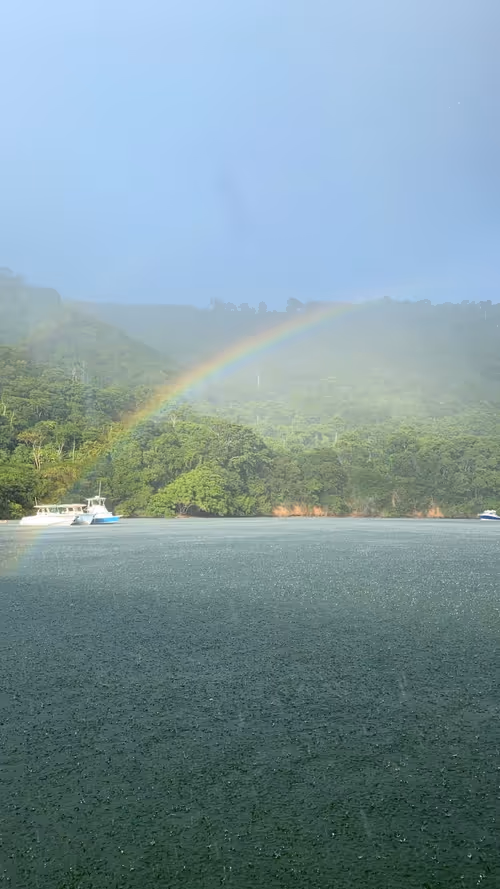 Item #43525175748875350488801110009561842129738521659546512290784556441409851228161 Media