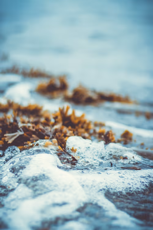 Item #9401445363475959616826929925346071850130199423047290682338619258508742230017 Media