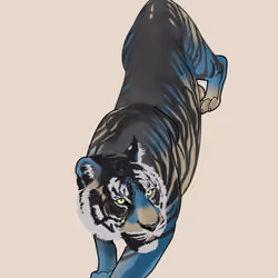 Blacktiger_blue