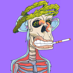 72262772635155785739051404725996994677989039349988926447835051514019436298241