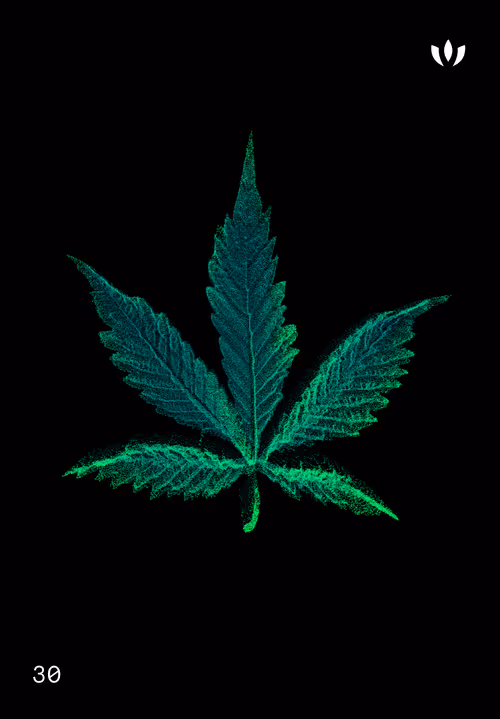 Item #30579750124061878473924884355833297327322833746354964518713563893810044338186 Media