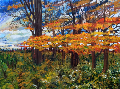 Item #30570506101474719710738310620042499867330861903085432496506805843364914659329 Media