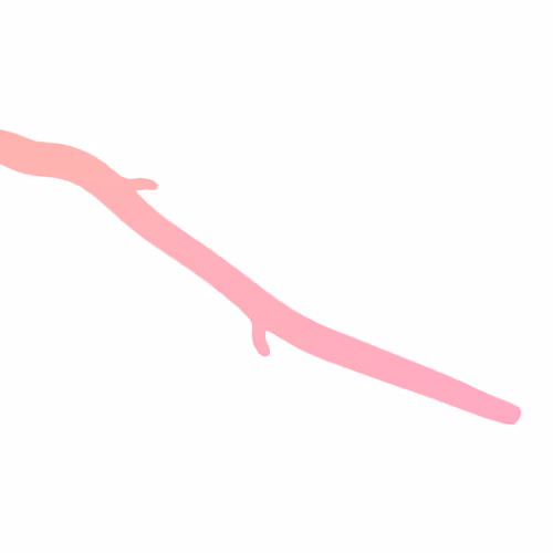 17755440104982517953853418754656261360363945618725315047813017603348212219905