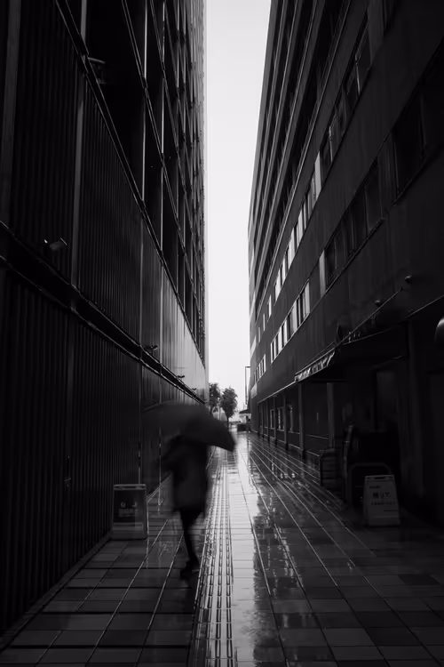 Item #41560785827232416525944829865744296418269522229924950073552194984963244818433 Media