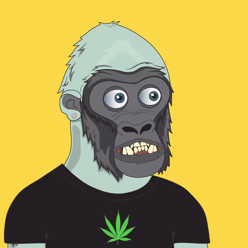 Item #17712372735685884316990920060912226399337154201344013505978096398501609996289 Media