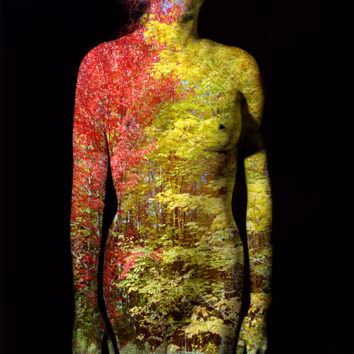 Item #13895770362792469734688406540771864633906230487145014712104887679128560467969 Media