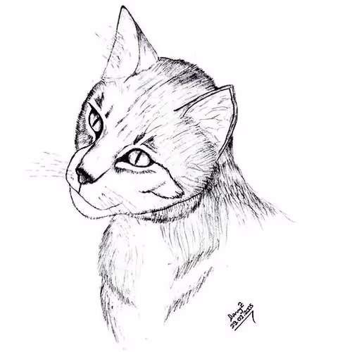 Mychildhood Drawings