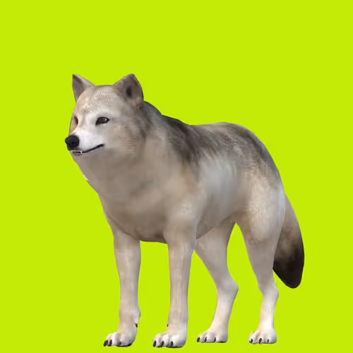 Advanced-Reality Collection - old