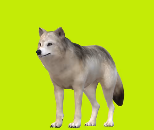 Item #95384331384475956527841832723952463900351234578554706782675471733107353190401 Media