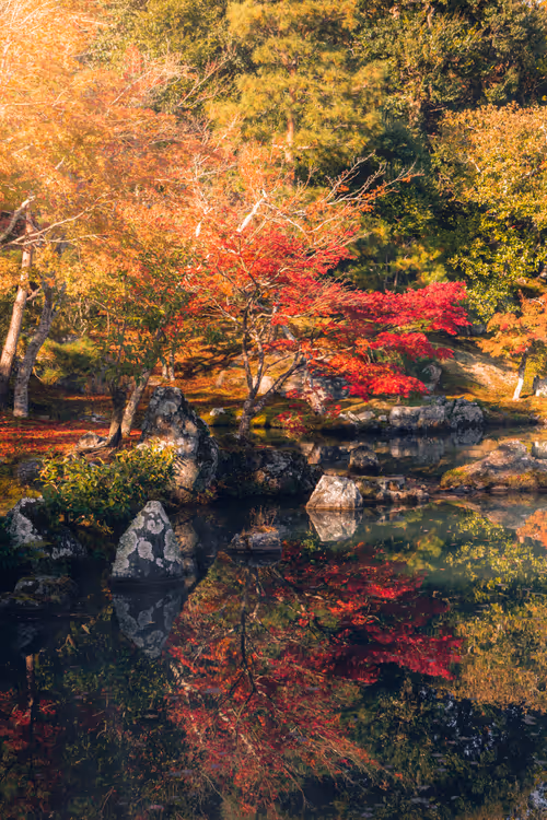 Item #91533776349707107334996359426163394312914568393480287964012023521796784390145 Media