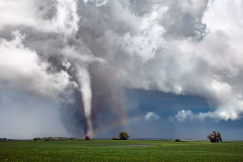 Item #46154160826271547341634704556143841503597126410650149385483954199746295365633 Media