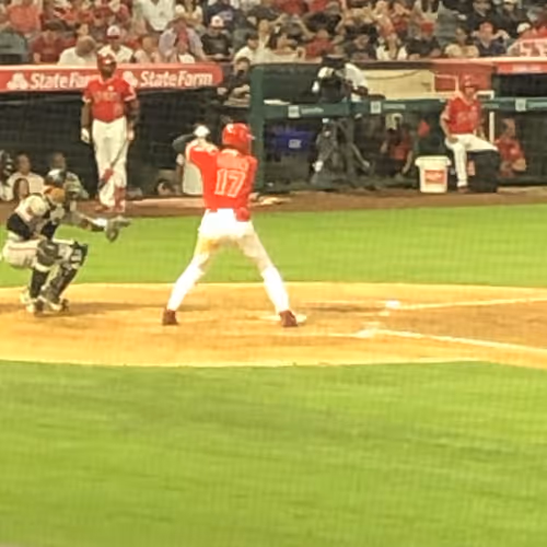 7sinArtCollection Collection