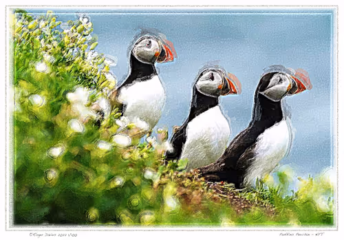 Item #113829610119937179277145653237989536661159515398728099625049874599591939145729 Media