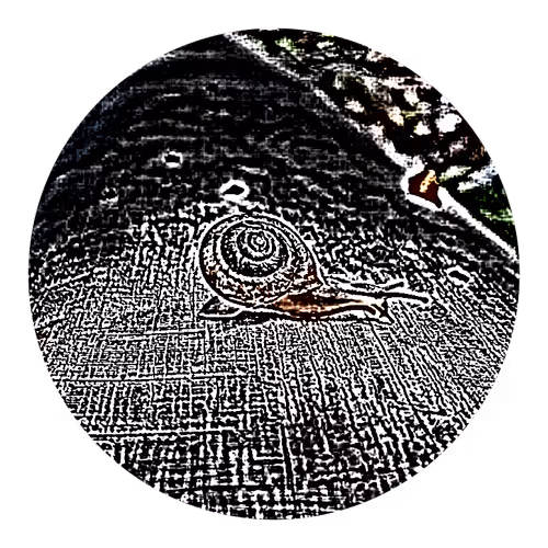 Item #73474911565276893363269127585336255498112534630235322163062143181005776748545 Media