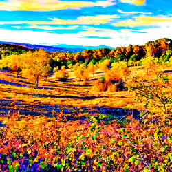 #90 Evocative Views