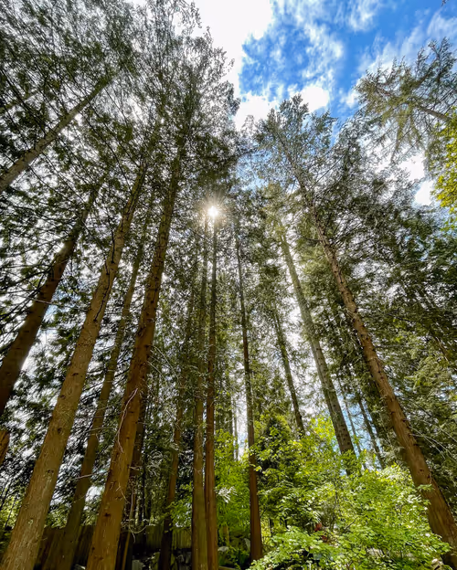 Item #60286361363657250857601775030637471218171117852543341295073304044837334417409 Media