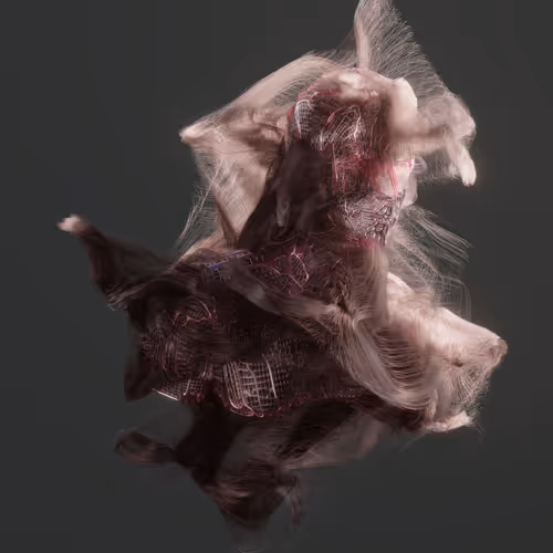 bert_in_3d Collection