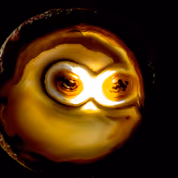 86322865835249178422551085128691778807953829915868126837986678412898358788097