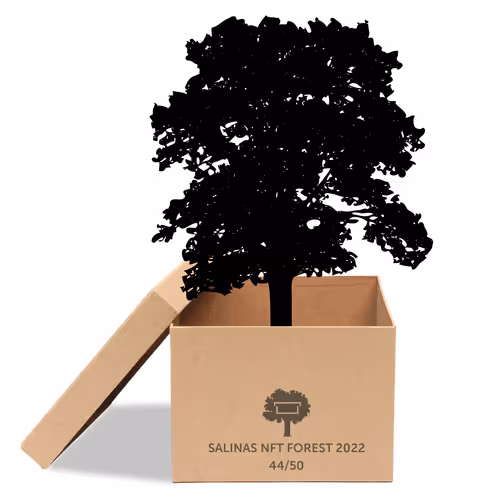 Item #63532776318757439562276927313719991273687356279339277108967620955233140604929 Media