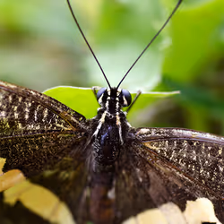 17170766491500085813784528329408520152162080499931486046086089706532264476682