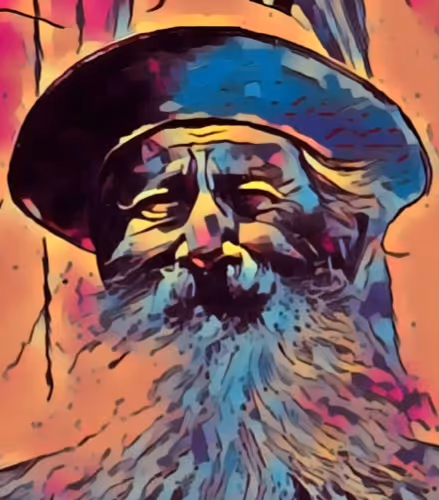 Catnip_Bill_NFTs Collection - old