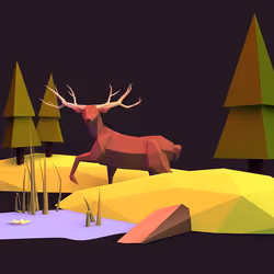 Animal Series: Into the wild