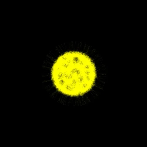 Physarum Series