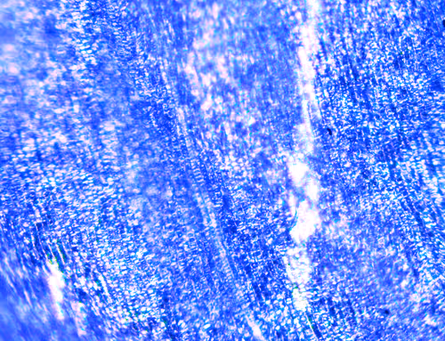 Item #71646257518770613568983710813551014237803002136866425209291833869063912685569 Media