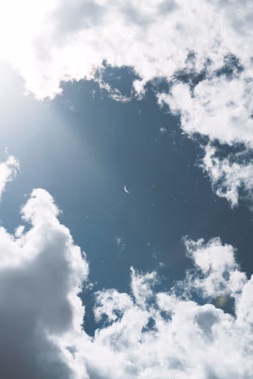 Item #9516099056367242152996622501750151802451978225621664057436231524823678844929 Media