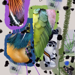 11783748436009130037775153231645173009789513534399277166341765111501543178241