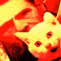 4747115153065902387790593868107453782499677024781155622119190057671637073921