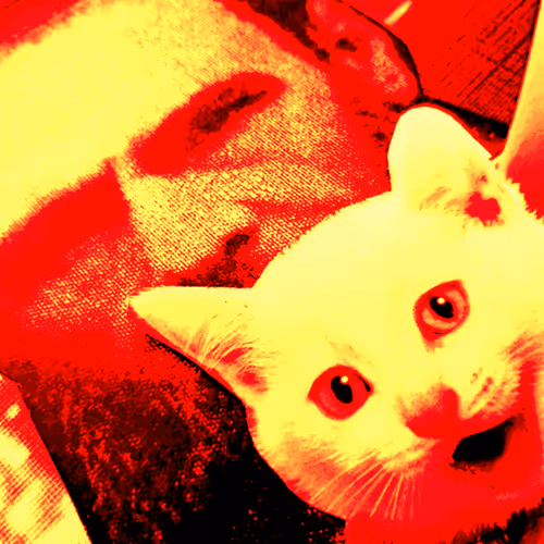 4747115153065902387790593868107453782499677024781155622119190057671637073921