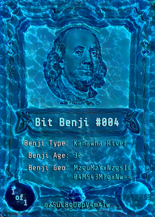 Item #101822873441897373779164511277081979836648456321126195755783773048953313951745 Media
