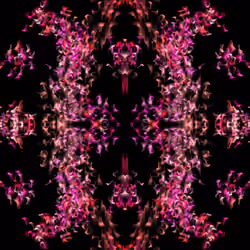 247