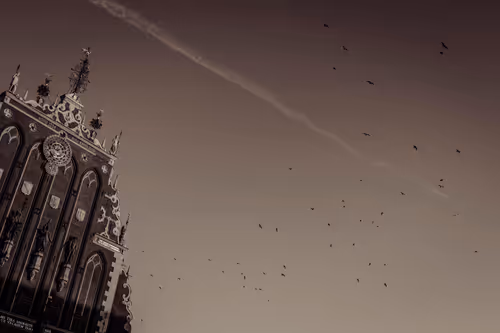 Item #115476091633177707548467332861513074222465969616000108697223131101308894838785 Media