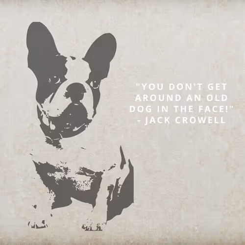 Item #22331338644362261585893921469317233400216274274527846627045035177994792992769 Media