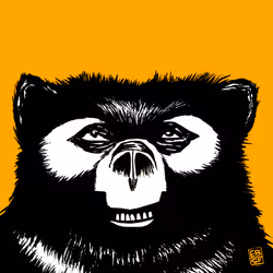 12256084541221245156135028986021526634136884921740396050173767410215739719681