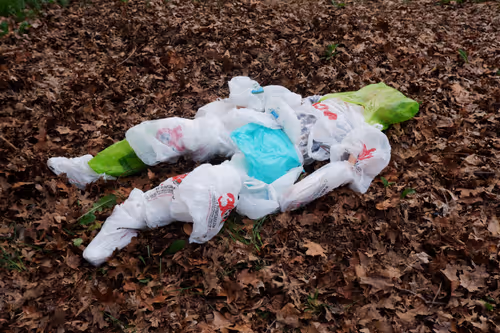 Item #90759427057310509927547570395708714779512351118091613108582219548553564389377 Media