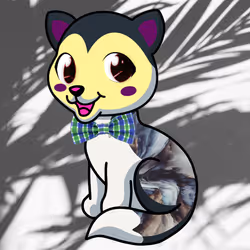 70091610511292042878702066039231159687239777503764138416355143427349907767297