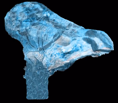 Item #18063966590187803564983313972252836895288362682890717819958697116414022516737 Media