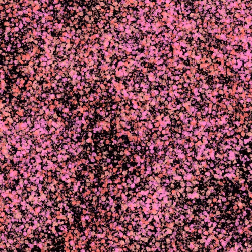 944858660688572096584618472555991747686703840338442188877309624749756776449