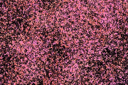 Item #944858660688572096584618472555991747686703840338442188877309624749756776449 Media