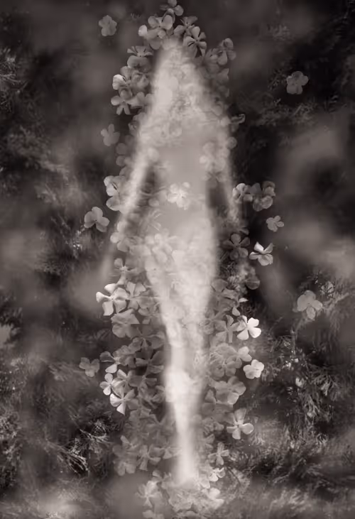 Item #82086394152813496729852745644400301310809698688948886085589871399930148421633 Media