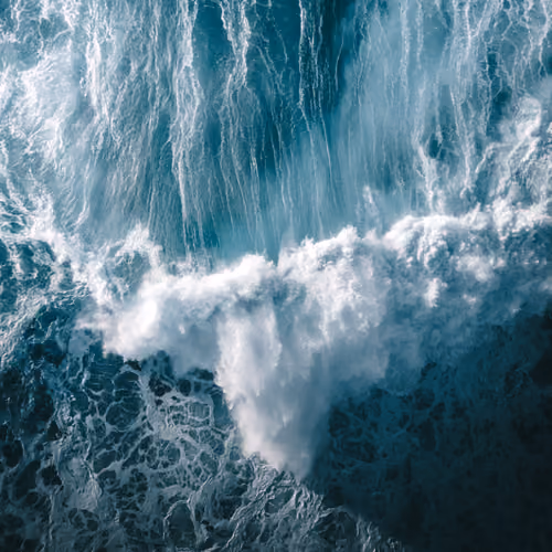 WILD WAVΞS