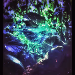 3787080761074609709675817509753112159059746763483256848434353542403245211653